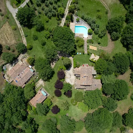 Villavetrichina-3
